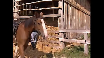 野生のチンポファックセッションの後に射精する