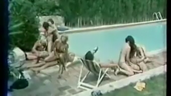 Sexe De Groupe Français Vintage Avec Des Amateurs Excités