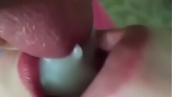 Beleza Ruiva Engole Porra Em Sessão Oral Quente