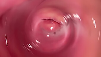 Intimate Pov Journey Inside A Moist And Snug Vagina