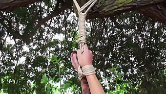 Outdoor Bdsm Scene Features Strict Whipping And Stripping