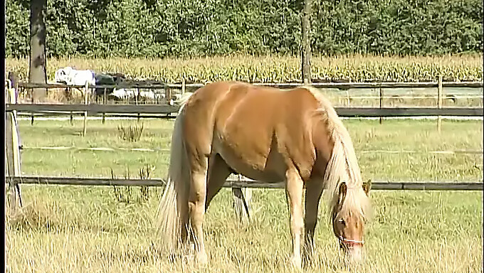 Young Farmer Gives Sensual Outdoor Massage With Explicit Touch