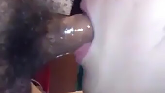 Amateur Asian Babe Swallows Cum In Sloppy Pov Blowjob