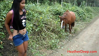 High-Definition Video Of Pissing Outdoors Near A Horse In The Wilderness