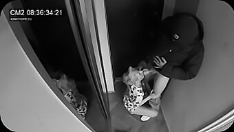 Hot Blonde Wife Gives Postman A Blowjob While Her Husband Watches From The Next Room