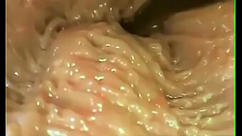 Exploración Íntima: Penetración Vaginal En Hd